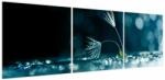Mivali Tablou - Macro, din trei bucăți 150x50 cm (V023731V15050)