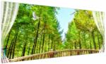 Mivali Tablou - Privire spre pădure, dintr-o bucată 250x125 cm (V022867V250125)