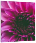 Mivali Tablou cu floarea roz, dintr-o bucată 30x30 cm (V020010V3030)