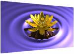 Mivali Tablou - Lotus, dintr-o bucată 120x70 cm (V022263V12070)