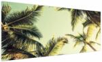 Mivali Tablou - Palmieri de cocos, dintr-o bucată 250x125 cm (V023328V250125)