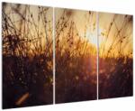 Mivali Tablou - Câmp la apus de soare, din trei bucăți 120x80 cm (V022568V120803PCS)