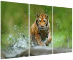 Mivali Tablou - Tigru care aleargă, din trei bucăți 120x80 cm (V023886V120803PCS)