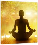Mivali Tablou - meditare (V021741V3030)