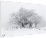 Mivali Tablou - Iarnă albă, dintr-o bucată 120x80 cm (V022824V12080)