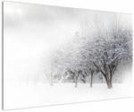 Mivali Tablou - Aleea de iarnă, dintr-o bucată 120x80 cm (V023265V12080)