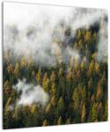 Mivali Tablou - Pădure în nori, dintr-o bucată 50x50 cm (V022666V5050)