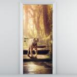 Mivali Fototapet pentru ușă - Tigrul (D020587D95205)