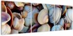 Mivali tablou cu scoici, din trei bucăți 120x40 cm (V021131V12040)