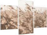Mivali Tablou - Adiere de luncă, din trei bucăți 90x60 cm (V023966V90603PCS)
