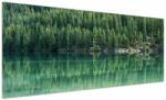 Mivali Tablou - Coniferi lângă lac, dintr-o bucată 250x125 cm (V021328V250125)