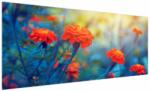 Mivali Tablou - Flori portocalii, dintr-o bucată 250x125 cm (V022359V250125)