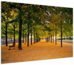 Mivali Tablou cu alee cu copaci în toamnă, dintr-o bucată 100x70 cm (V020953V10070)