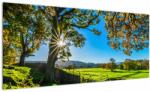 Mivali Tablou Privire la câmp, dintr-o bucată 100x40 cm (V022670V10040)