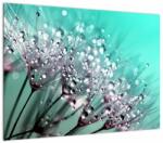 Mivali Tablou pe sticlă - planta cu rouă, dintr-o bucată 70x50 cm pe sticlă (V020507V7050GD)