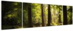 Mivali Tablou - Pădurea de vis, din trei bucăți 170x50 cm (V022623V17050)