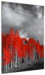 Mivali Tablou - Copaci în culorile toamnei, dintr-o bucată 50x70 cm (V022052V5070)