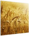 Mivali Tablou - Spice de cereale, dintr-o bucată 70x70 cm (V022459V7070)