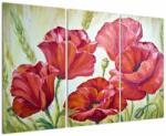Mivali Tablou - Mac - flori, din trei bucăți 120x80 cm (V023305V120803PCS)