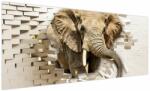 Mivali Tablou - Elefant spârgând peretele, dintr-o bucată 250x125 cm (V022794V250125)