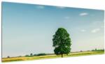 Mivali Tablu - Copac în luncă, dintr-o bucată 100x40 cm (V022558V10040)