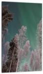 Mivali Tablou cu aurora borealis deasupra pomilor înghețați, dintr-o bucată 20x30 cm (V021684V2030)