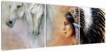 Mivali Tablou - Farmecele indienilor, din trei bucăți 120x40 cm (V023319V12040)
