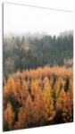 Mivali Tablou - Pădure toamna, dintr-o bucată 60x90 cm (V022938V6090)