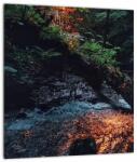 Mivali Tablou cu râu montan, dintr-o bucată 30x30 cm (V020254V3030)