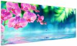 Mivali Tablou - Orhidee, dintr-o bucată 250x125 cm (V022269V250125)