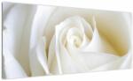 Mivali Tablou cu tandafir alb, dintr-o bucată 100x40 cm (V021208V10040)