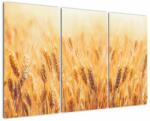 Mivali Tablou - câmp cu grâne, din trei bucăți 120x80 cm (V022021V120803PCS)