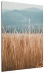 Mivali Tablou - detaliu spațiului de luncă, dintr-o bucată 50x70 cm (V020178V5070)