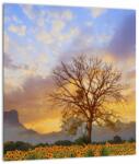 Mivali Tablou pe sticlă - Peisaj cu floarea soarelui, dintr-o bucată 30x30 cm pe sticlă (V022516V3030GD)