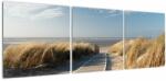 Mivali Tablou - Plaja cu nisip de pe insula Langeoog, Germania, din trei bucăți 120x40 cm (V023268V12040)