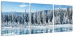 Mivali Tablou cu lacul înghețat și copacii înzăpeziți, din trei bucăți 90x30 cm (V021299V9030)