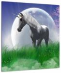 Mivali Tablou cu unicorn, dintr-o bucată 40x40 cm (V021168V4040)