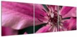 Mivali Tablou cu floarea roz de clematis, din trei bucăți 150x50 cm (V021607V15050)
