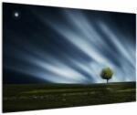 Mivali Tablou -Aurora boreală, dintr-o bucată 90x60 cm (V022594V9060)