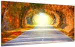 Mivali Tablou pe sticlă - Poarta din copaci, dintr-o bucată 100x50 cm pe sticlă (V022002V10050GD)