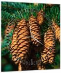 Mivali Tablou cu con de brad (cu ceas), dintr-o bucată 30x30 cm cu ceas (V020846V3030C)