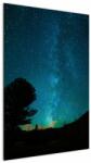 Mivali Tablou cu cerul nocturn și stele, dintr-o bucată 60x90 cm (V021100V6090)
