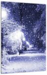Mivali Tablou - Noaptea magică de iarnă, dintr-o bucată 30x40 cm (V023263V3040)