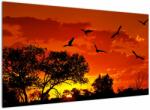 Mivali Tablou cu păsări în apus de soare, dintr-o bucată 120x70 cm (V021911V12070)