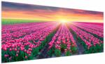 Mivali Tablou cu câmp de lalele cu soare, dintr-o bucată 250x125 cm (V020554V250125)