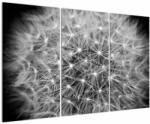 Mivali Tablou păpădie gri, din trei bucăți 120x80 cm (V020607V120803PCS)