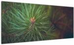 Mivali Tablou - Pin, dintr-o bucată 100x40 cm (V022617V10040)