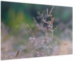 Mivali Tablou - Detaliu timp, dintr-o bucată 90x60 cm (V024034V9060)