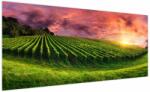 Mivali Tablou cu vie cu cerul color, dintr-o bucată 200x100 cm (V020336V200100)