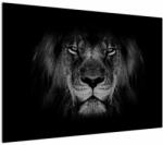Mivali Tablou - Leu majestic, dintr-o bucată 100x70 cm (V022102V10070)
